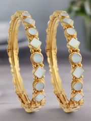 Shreyasi Bangle Set